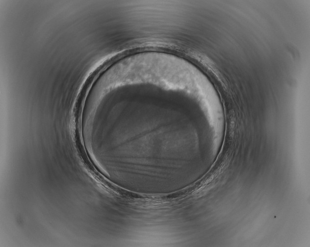 X0000112041024200908311232