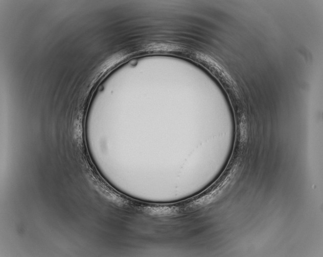 X0000112041025200908311232
