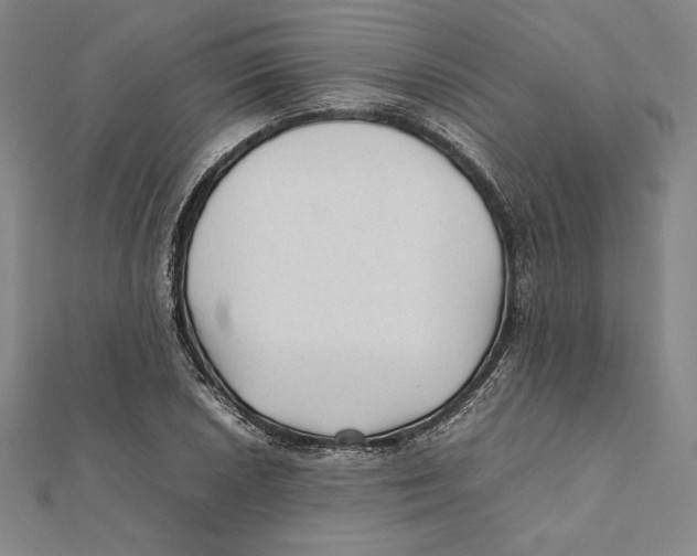 X0000112041026200908311232
