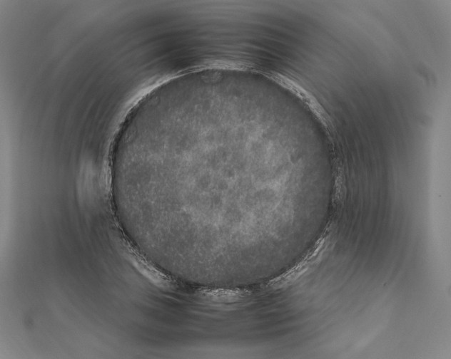 X0000112041027200908311232