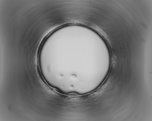 X0000112041028200908311232