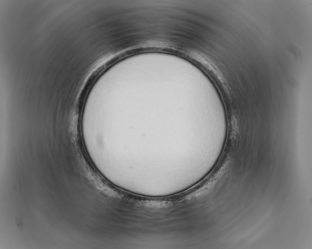 X0000112041029200908311232