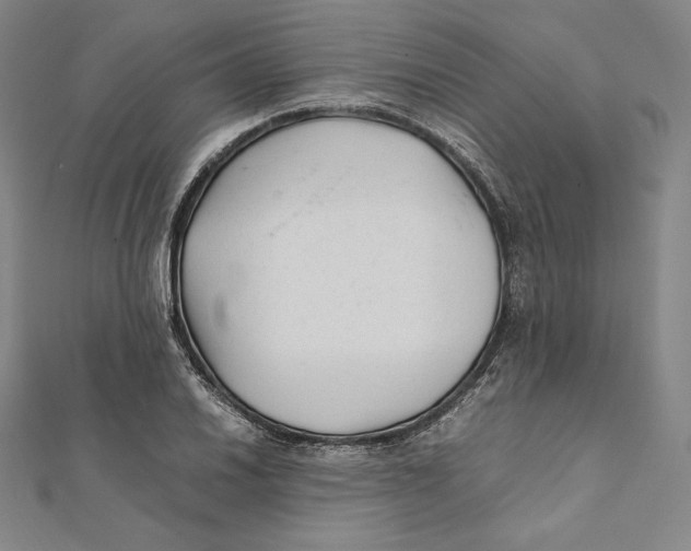 X0000112041030200908311232