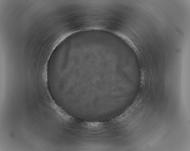 X0000112041031200908311232