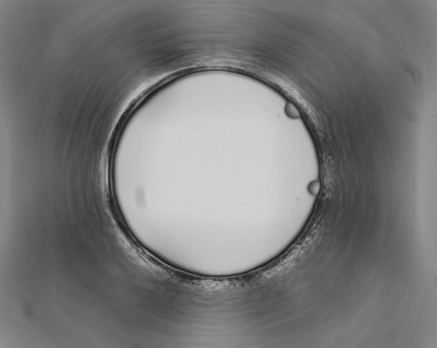 X0000112041032200908311232