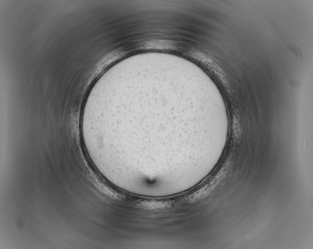 X0000112041033200908311232