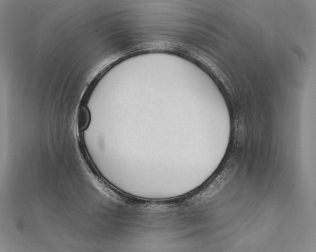 X0000112041034200908311232