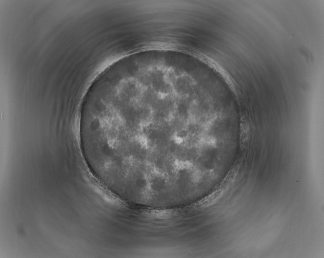 X0000112041035200908311232