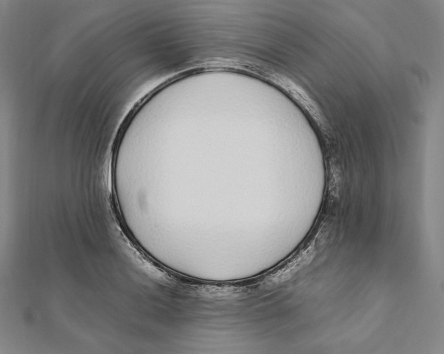 X0000112041036200908311232