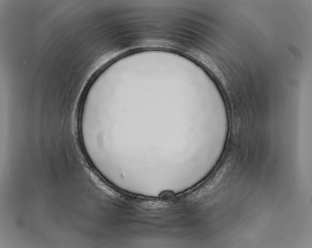 X0000112041037200908311232