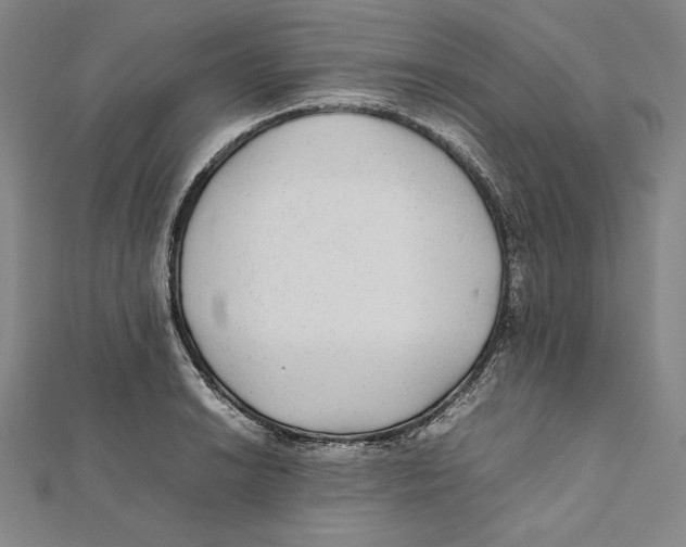 X0000112041038200908311232