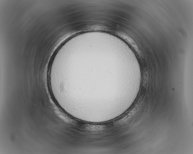 X0000112041039200908311232