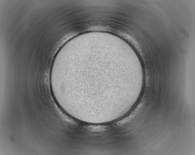 X0000112041041200908311232