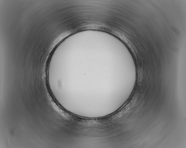 X0000112041042200908311232