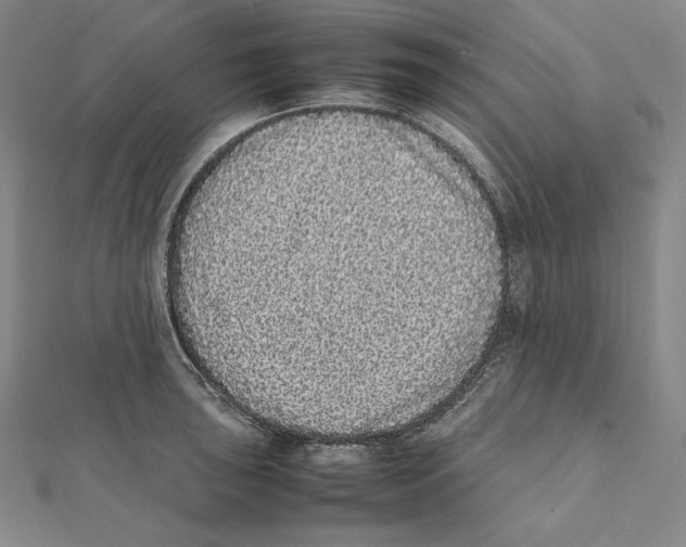 X0000112041043200908311232