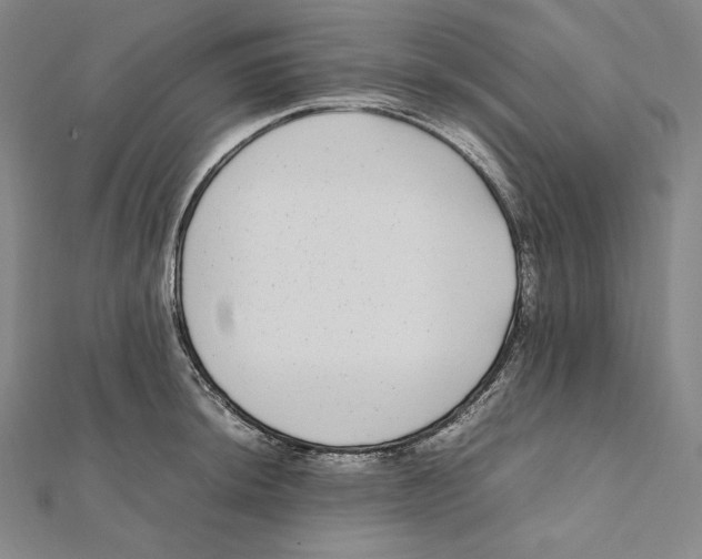 X0000112041044200908311232
