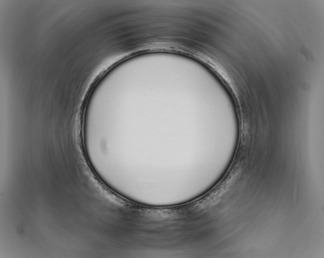 X0000112041045200908311232