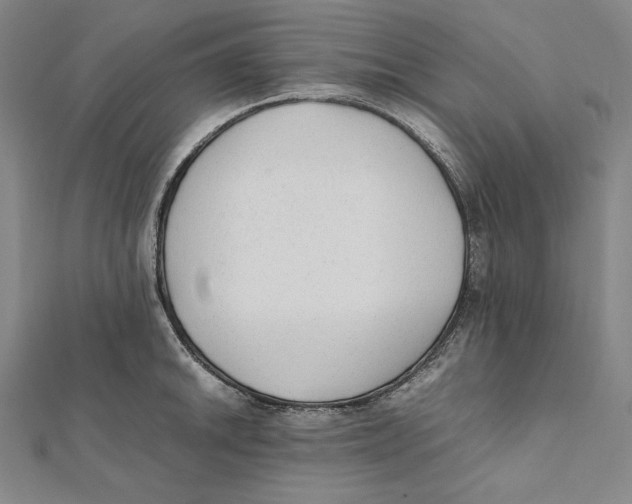 X0000112041046200908311232