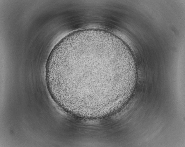 X0000112041047200908311232