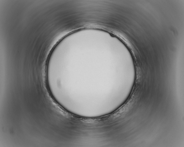 X0000112041048200908311232