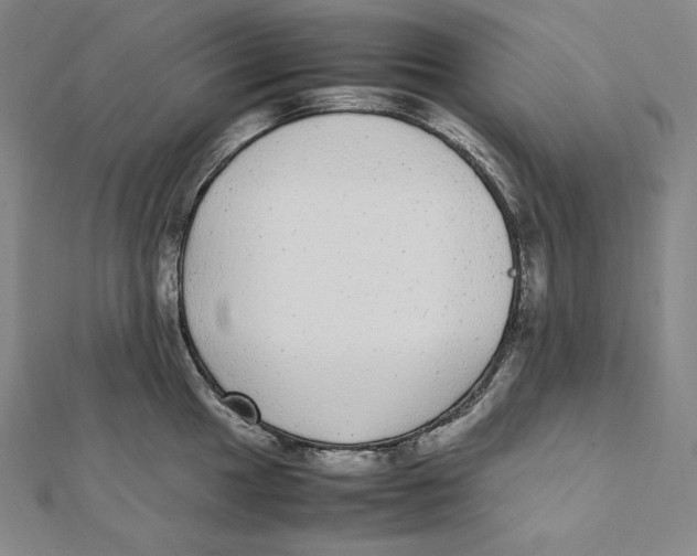 X0000112041049200908311232