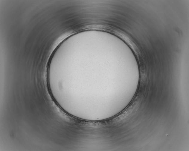 X0000112041050200908311232