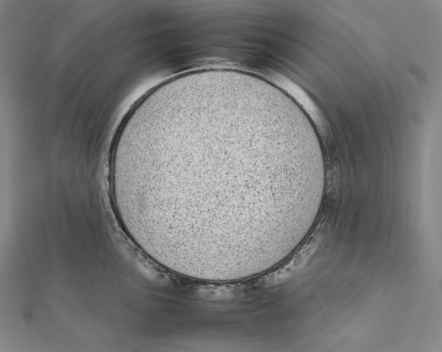 X0000112041051200908311232