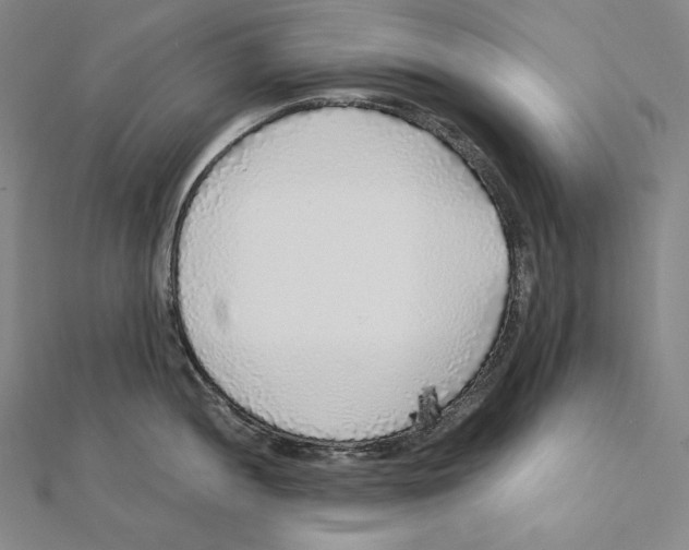 X0000112041052200908311232