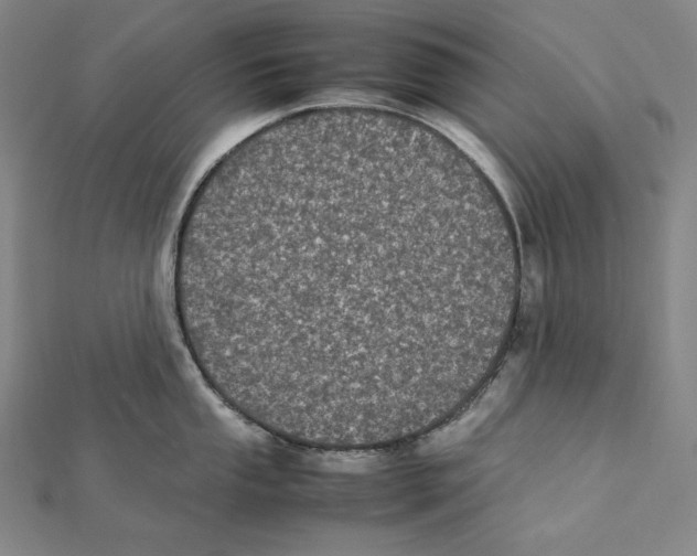 X0000112041053200908311232