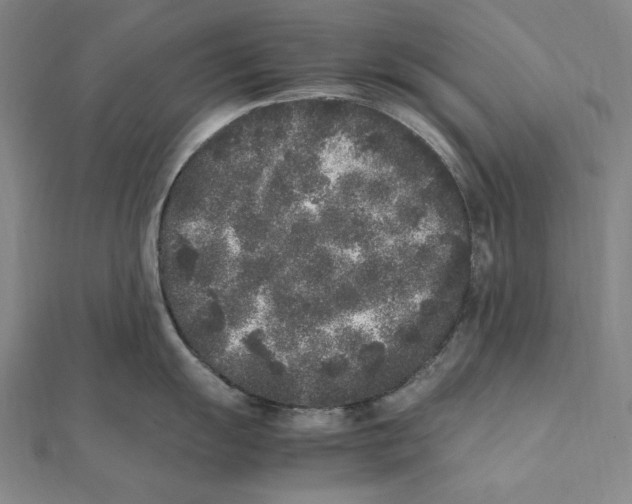 X0000112041055200908311232