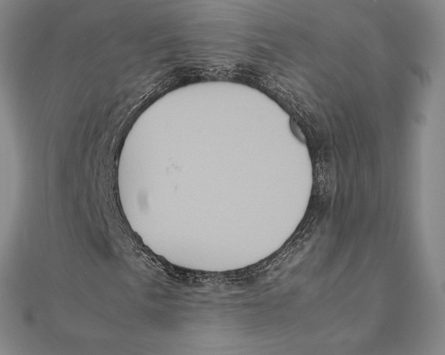 X0000112041057200908311231