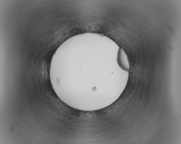 X0000112041058200908311231