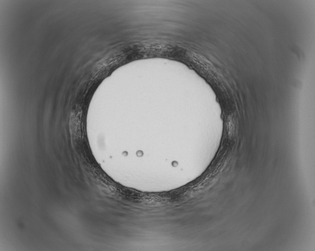 X0000112041059200908311231