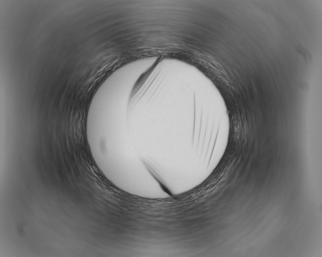 X0000112041060200908311231