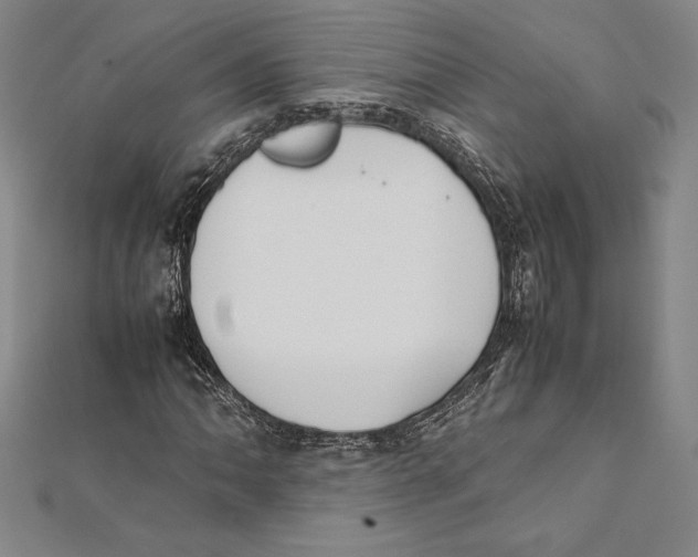 X0000112041062200908311231