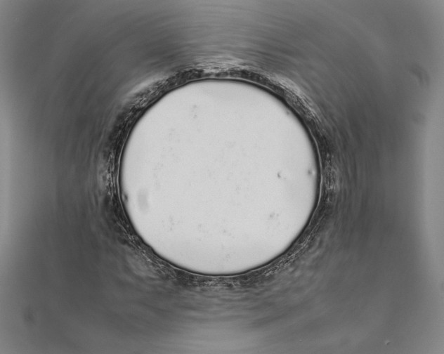 X0000112041063200908311231