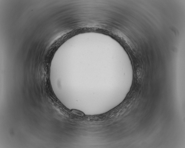 X0000112041064200908311231