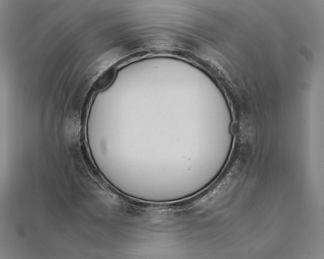 X0000112041065200908311231