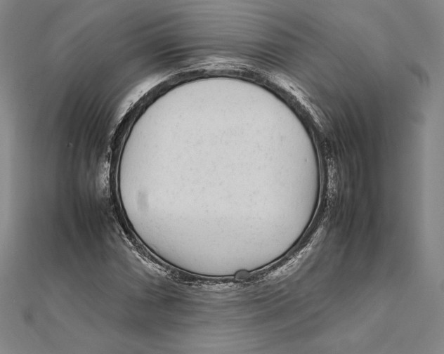 X0000112041066200908311231