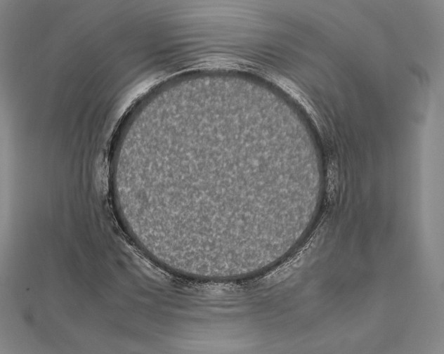 X0000112041067200908311231