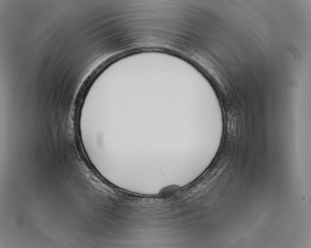 X0000112041068200908311231