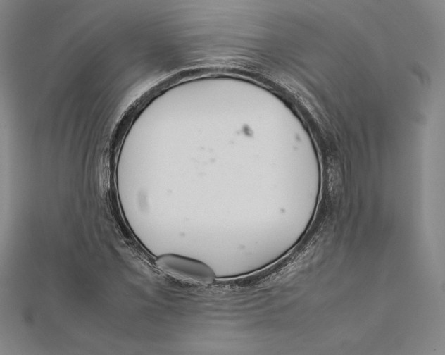 X0000112041069200908311231