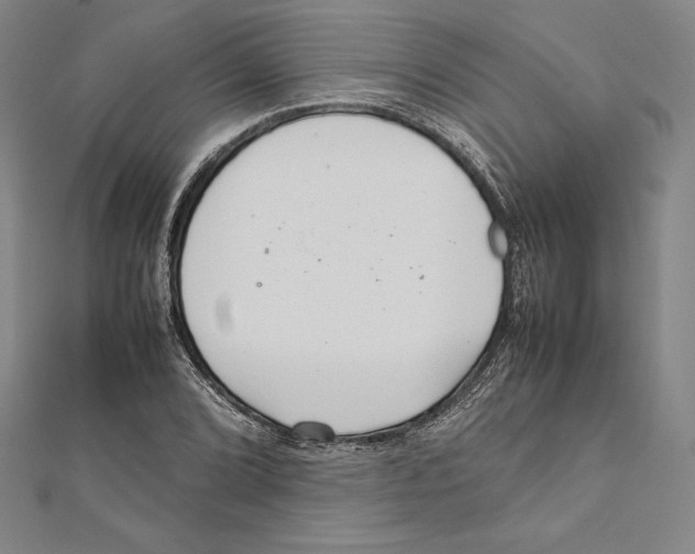 X0000112041072200908311231