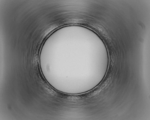 X0000112041073200908311231