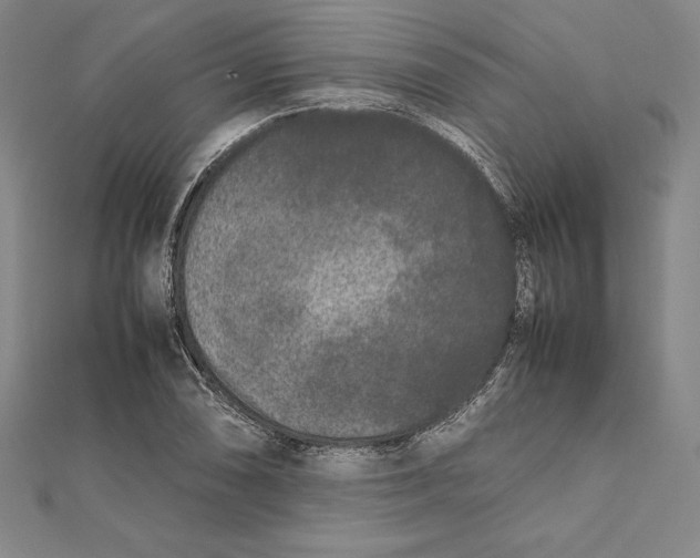 X0000112041074200908311231