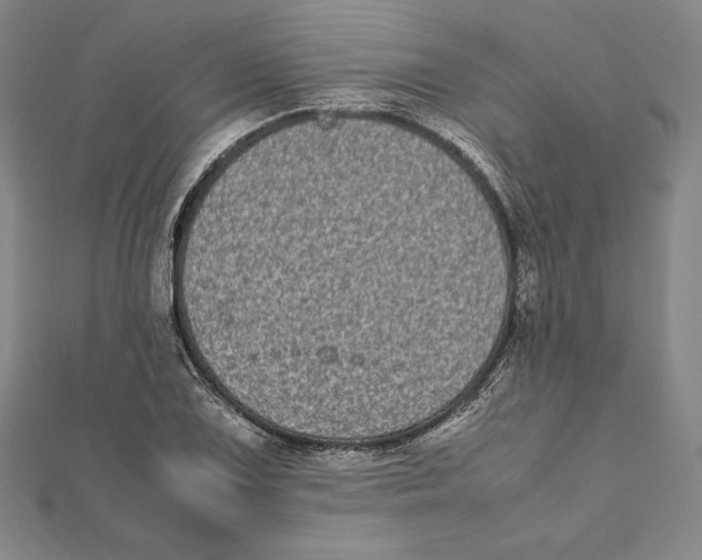 X0000112041075200908311231
