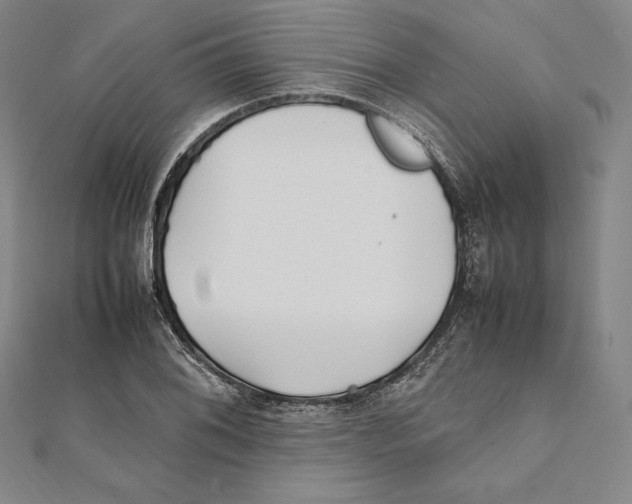 X0000112041076200908311231