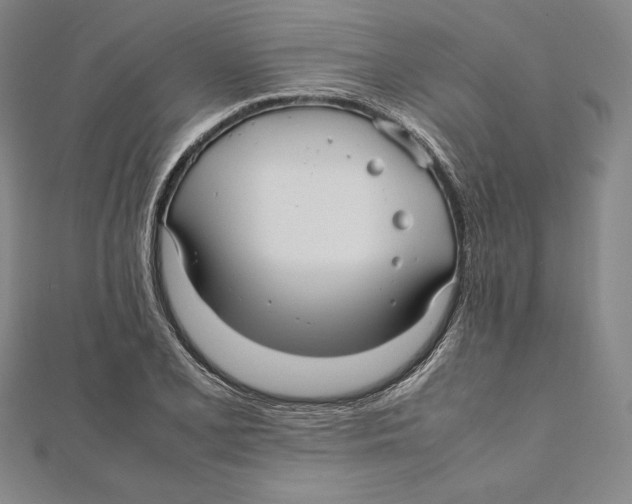 X0000112041077200908311231