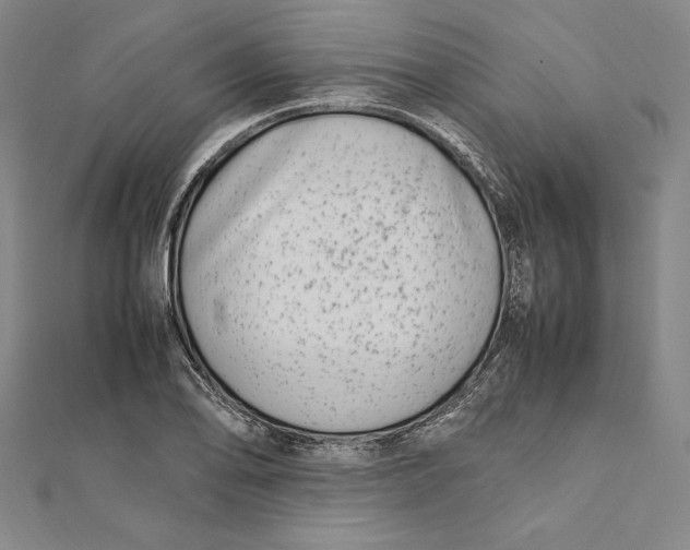 X0000112041078200908311231