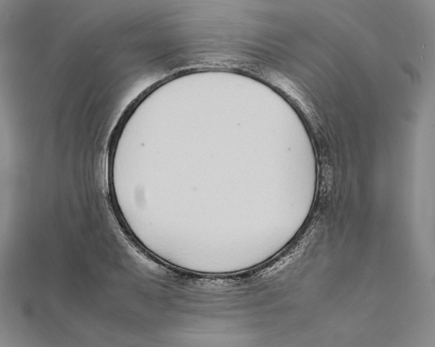 X0000112041079200908311231